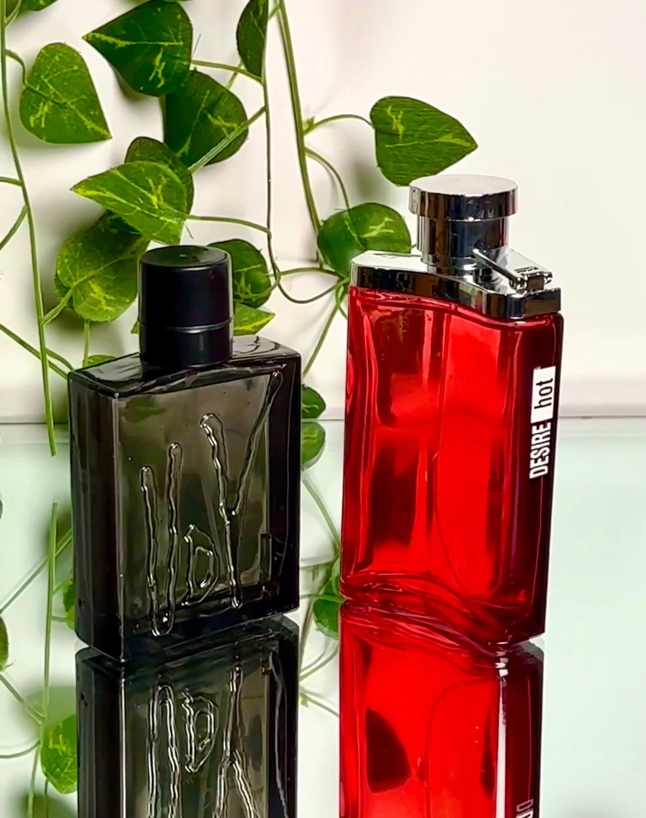 New Deal - Pack Of 2 With Free Home Delivery